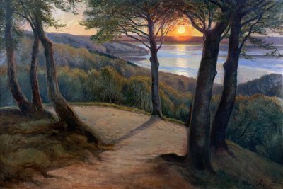 Sunset by Hans Agersnap